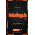 PulseForge.io brandable domain