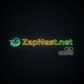 ZapNest.net